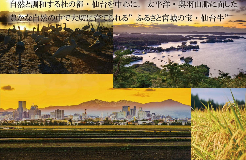 
                  
                    仙台牛　すき焼き・しゃぶしゃぶ　サーロイン
                  
                